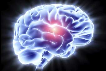 Avoiding ‘Old Age’ Disease By Nourishing The Brain