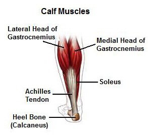 Calf Stretches