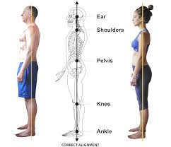 Posture and its effects on your shoulders.
