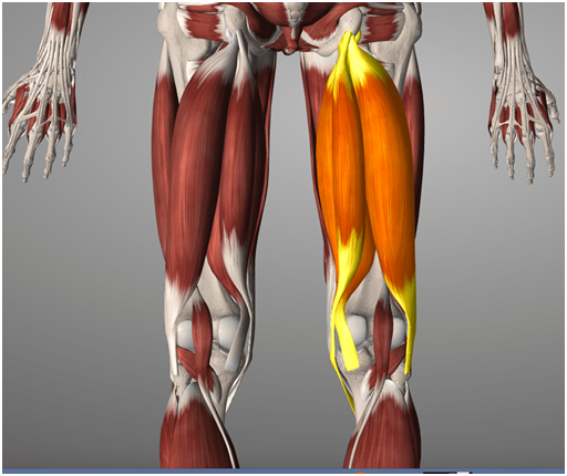 Why Do Muscles Feel Tight?